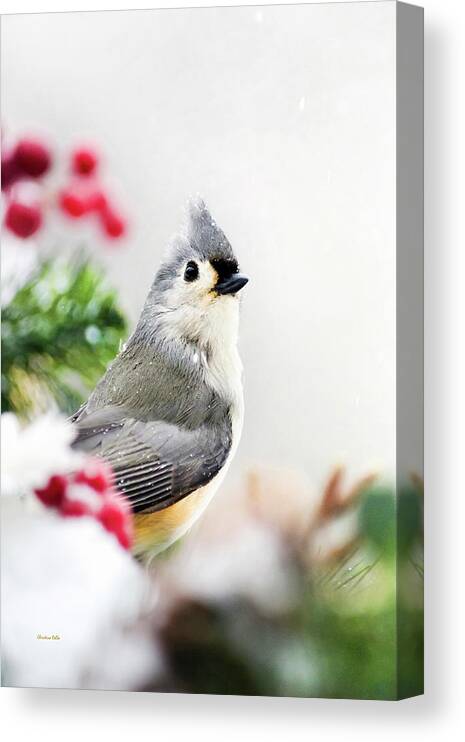 Birds Canvas Print featuring the photograph Titmouse Bird Portrait by Christina Rollo