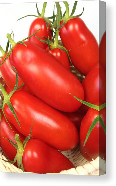 Close-up Canvas Print featuring the photograph Tomatoes by Dirkr