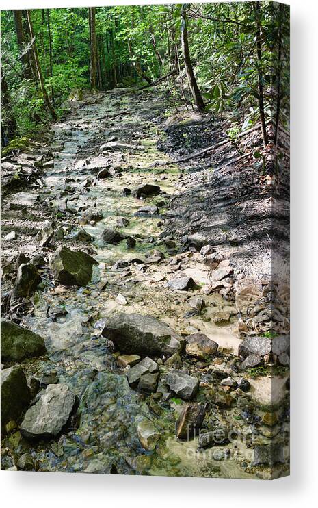 Trail Canvas Print featuring the photograph Trail Is A Creek by Phil Perkins