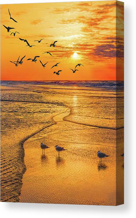 Beach Canvas Print featuring the photograph Tranquility Base Vertical, South Carolina Sunrise by Don Schimmel