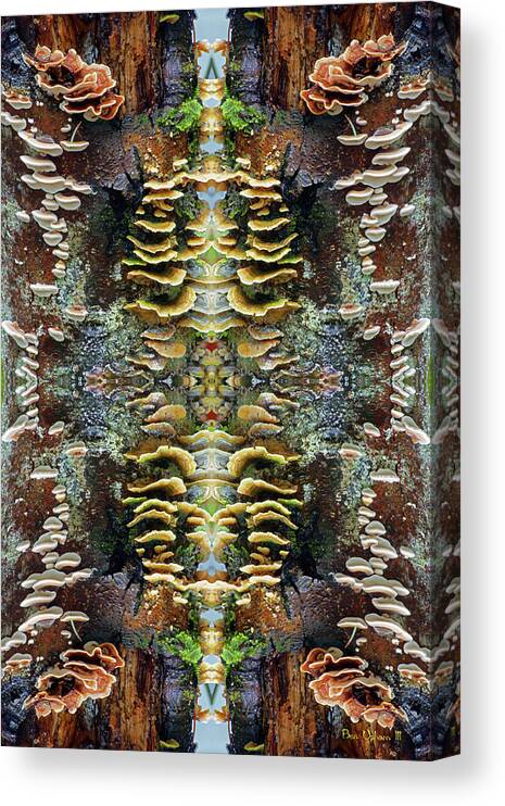 Nature Canvas Print featuring the photograph Tree Full of Life Double Mirrored Vertical 4x6 by Ben Upham III