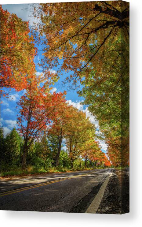 Michigan Canvas Print featuring the photograph Tree Tunnel on M22 by Owen Weber