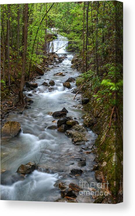 Triple Falls Canvas Print featuring the photograph Triple Falls On Bruce Creek 1 by Phil Perkins
