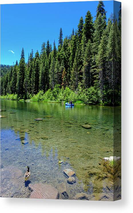 River Canvas Print featuring the photograph Truckee River California by Tony Locke