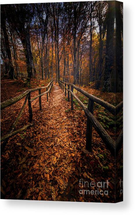 Fall Canvas Print featuring the photograph True Fall by Marco Crupi