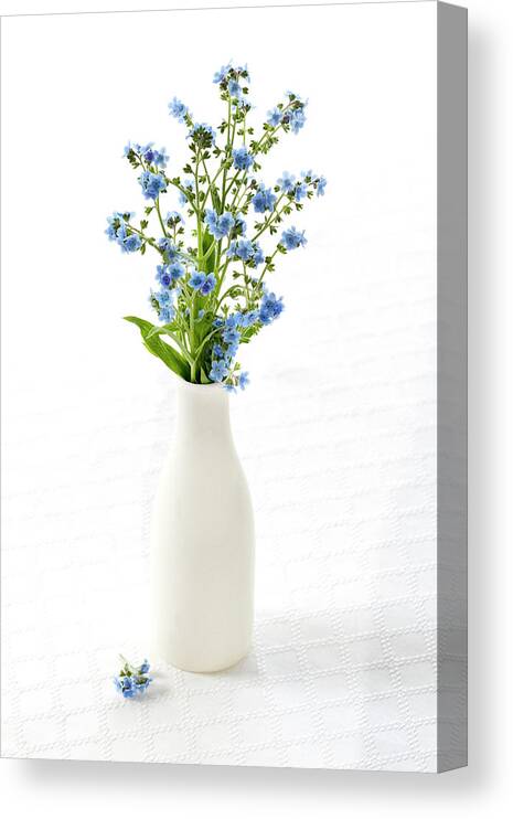 Forget Me Not Canvas Print featuring the photograph True Love Memories by Patty Colabuono