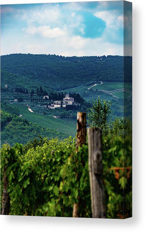 Italy Canvas Print featuring the photograph Tuscan Vineyard by Marian Tagliarino