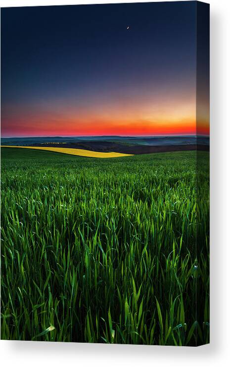 Dusk Canvas Print featuring the photograph Twilight Fields by Evgeni Dinev