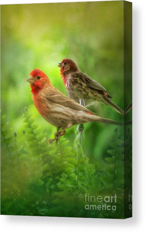 Bird Canvas Print featuring the photograph Two Little Finches by Shelia Hunt