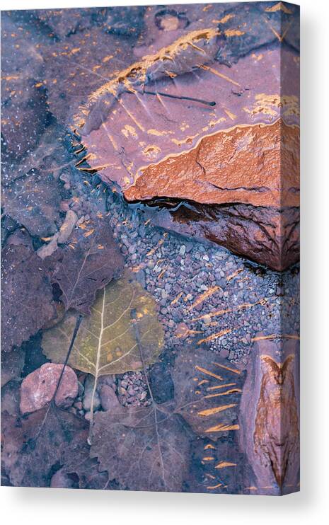 Hunter Canyon Canvas Print featuring the photograph Under The Ice by Deborah Hughes