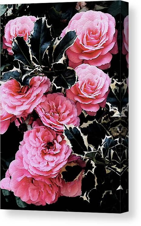 Holly Canvas Print featuring the photograph Unexpected Unity by Vanessa Thomas