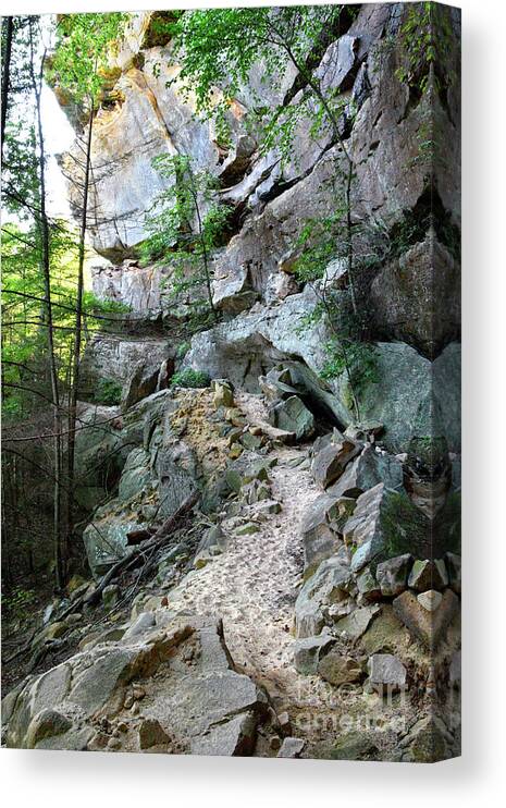 Pogue Creek Canyon Canvas Print featuring the photograph Unnamed Rock Face 7 by Phil Perkins