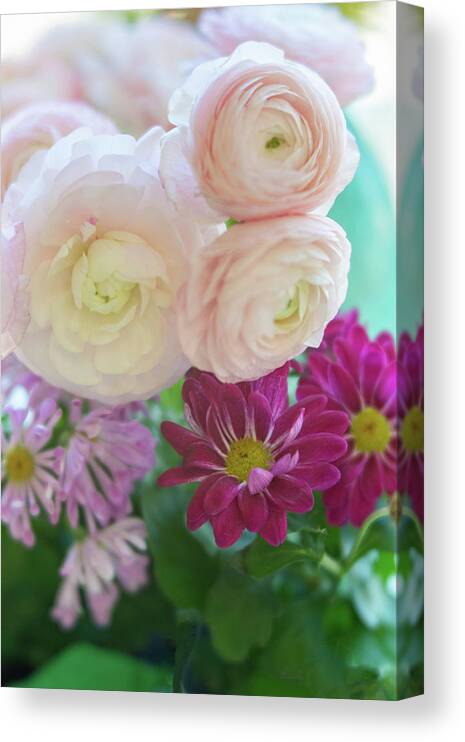 Ranunculus Canvas Print featuring the photograph Visions of Loveliness by Lynn Bauer