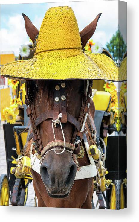 Mexico Canvas Print featuring the photograph Viva Mexico Collection - Horse Izamal Yellow City by Philippe HUGONNARD