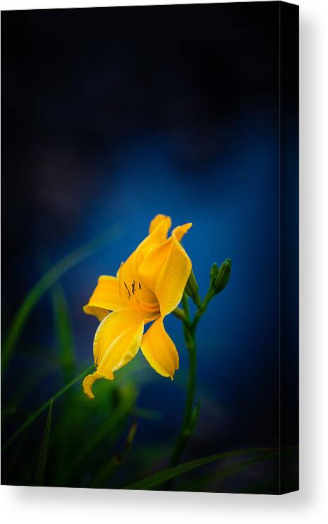 Blurred Motion Canvas Print featuring the photograph Vivid by Dustin Abbott