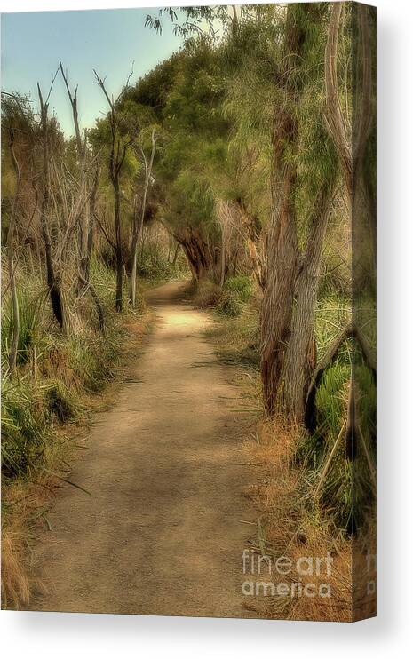 Elaine Teague Canvas Print featuring the photograph Walkway, Yanchep National Park, Western Australia by Elaine Teague