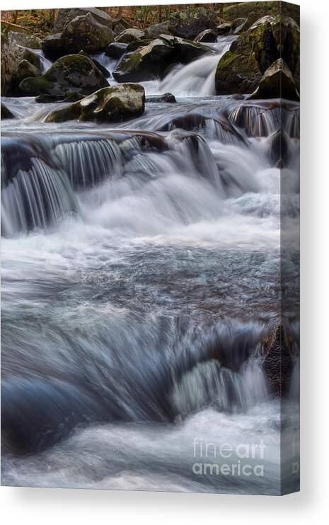 Middle Prong Canvas Print featuring the photograph Water Chasing Gravity by Phil Perkins
