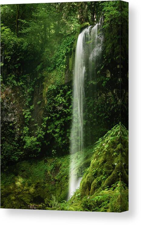 Beauty In Nature Canvas Print featuring the photograph Waterfall in Mossy Glen by Oscar Gutierrez