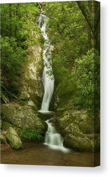 Waterfall Canvas Print featuring the photograph Waterfall in the Forest by Melissa Southern
