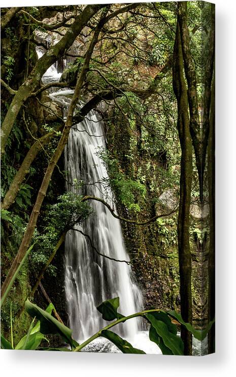 Waterfall Canvas Print featuring the photograph Waterfall in the Woods by Denise Kopko