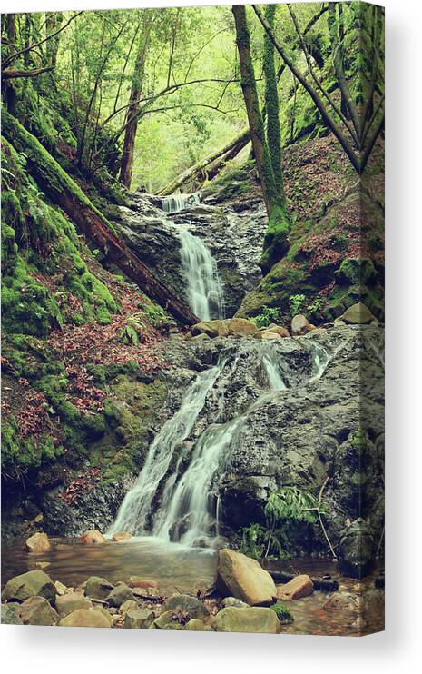 Uvas Canyon County Park Canvas Print featuring the photograph We Were Lost in Love by Laurie Search