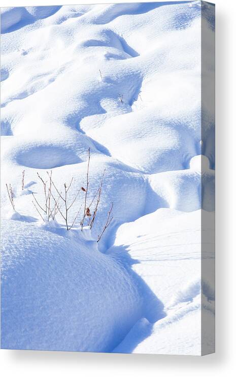 Altitude Canvas Print featuring the photograph Whispers of Winter by Benoit Bruchez
