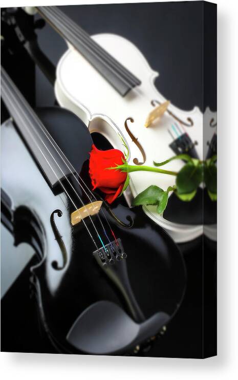 Violin Canvas Print featuring the photograph White And Black Violin With Red Rose by Garry Gay