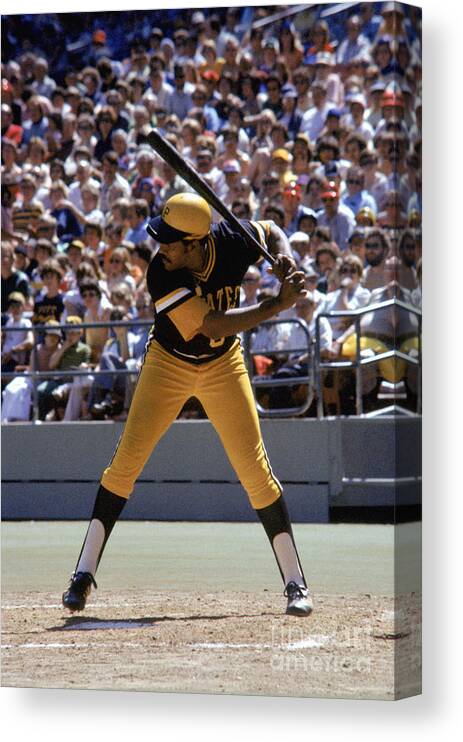 Sports Bat Canvas Print featuring the photograph Willie Stargell by Mlb Photos