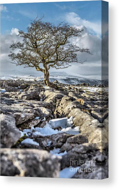 England Canvas Print featuring the photograph Winskill Stones by Tom Holmes Photography