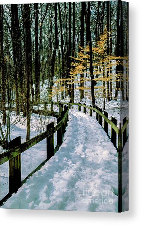 Winter Canvas Print featuring the photograph Winter Boardwalk Path in a Park in Maryland by William Kuta