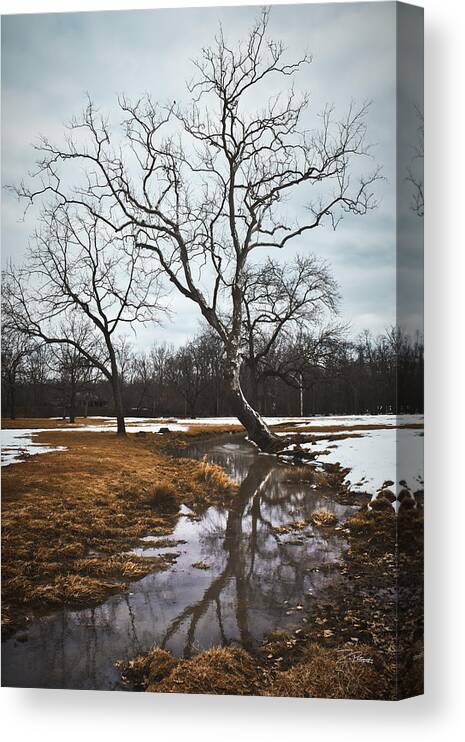 Winter Canvas Print featuring the photograph Winter Reflections by Ingrid Zagers
