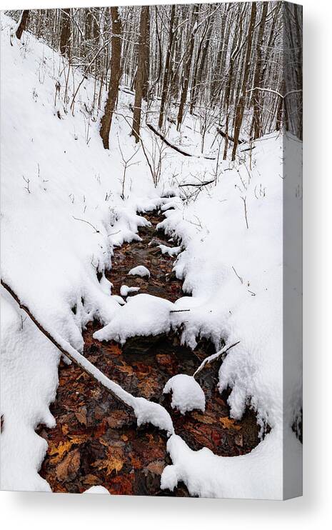 Creek Canvas Print featuring the photograph Winter Transformations by Lara Ellis