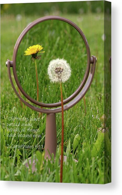 Dandelion Canvas Print featuring the photograph With Sympathy- 2 Corinthians by Peter Herman