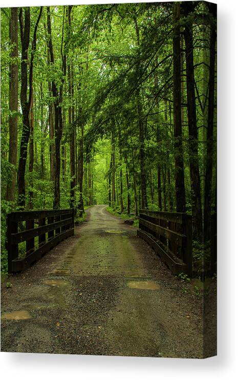 Great Smoky Mountains National Park Canvas Print featuring the photograph Wooded Path by Melissa Southern
