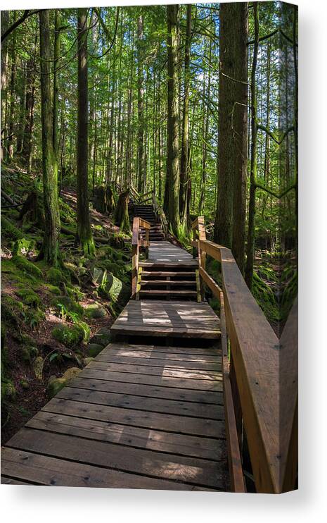 Alex Lyubar Canvas Print featuring the photograph Wooden Staircase on a Hiking Trail by Alex Lyubar