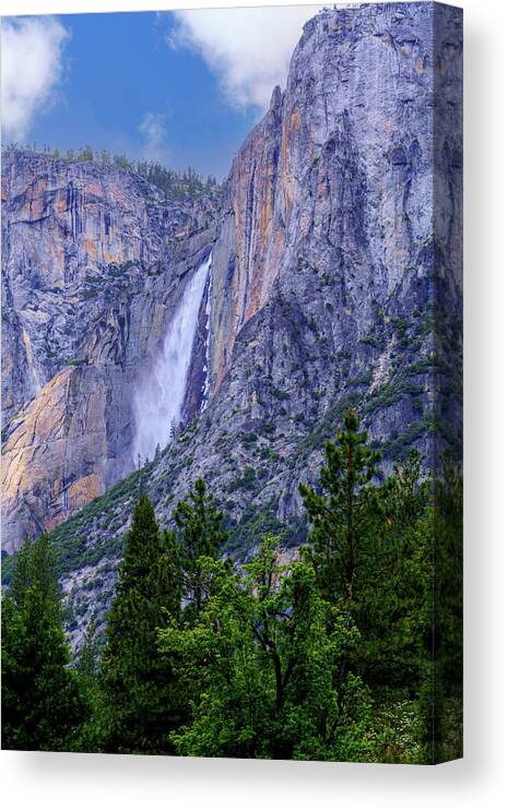 Yosemite Falls Canvas Print featuring the photograph Yosemite Falls in Spring 2 by Lindsay Thomson