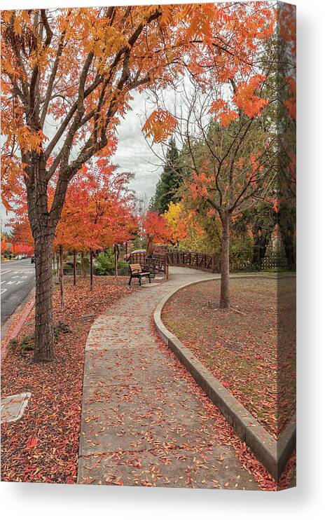 Chinese Pistache Canvas Print featuring the photograph Yountville In Autumn by Jonathan Nguyen