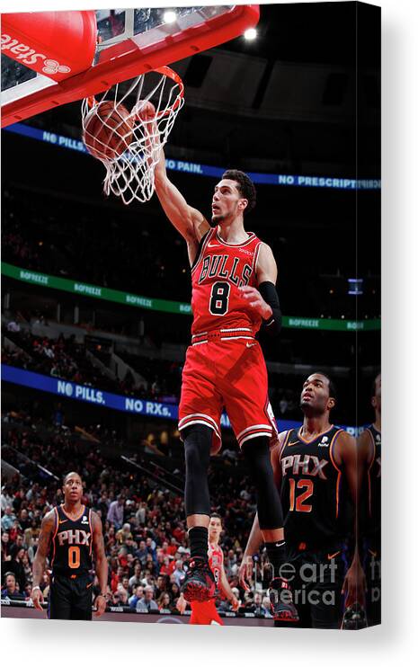 Chicago Bulls Canvas Print featuring the photograph Zach Lavine by Jeff Haynes