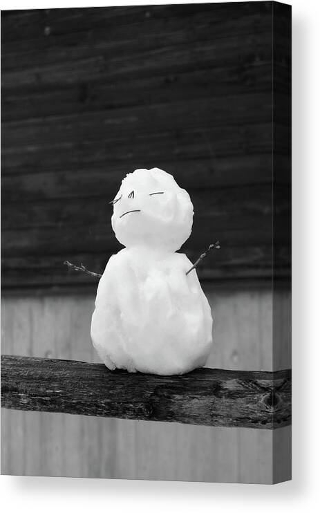 Snowman Canvas Print featuring the photograph Zen Fence Sitting Mini Snowman Black and White by Shawn O'Brien
