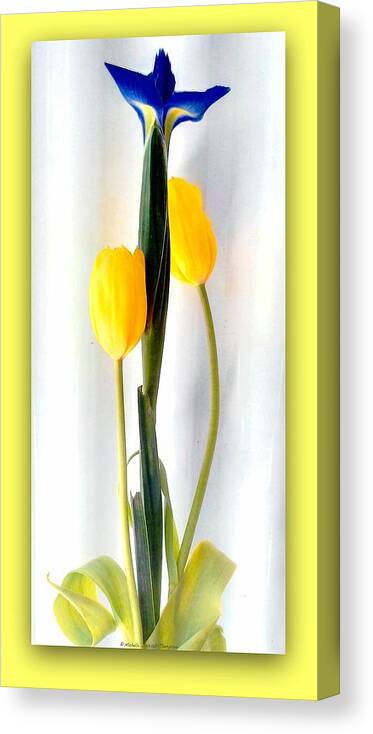 Yellow Canvas Print featuring the photograph Elegance in Bloom by Michelle Frizzell-Thompson