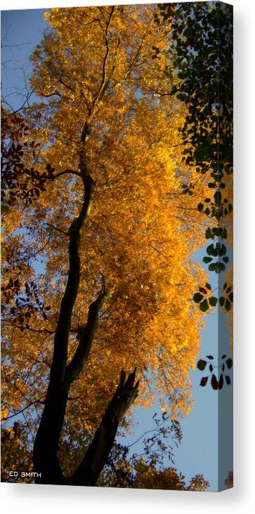 Flamethrower Canvas Print featuring the photograph Flamethrower by Edward Smith