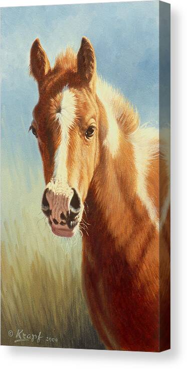 Foal Canvas Print featuring the painting Foal Portrait by Paul Krapf