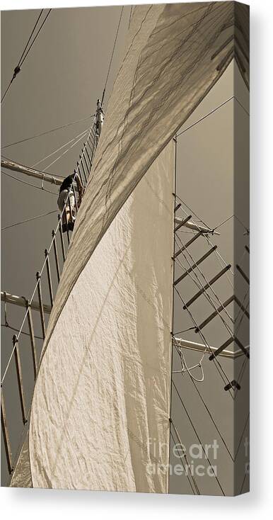 Schooner Canvas Print featuring the photograph Hoisting The Mainsail In Sepia by Jani Freimann