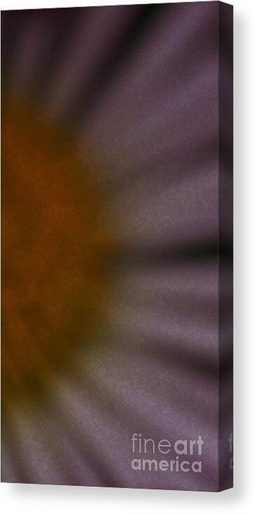Flower Canvas Print featuring the photograph Obscure by Linda Shafer