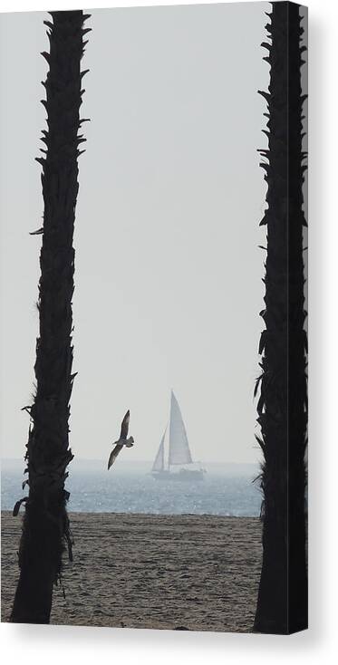Boats Canvas Print featuring the photograph Sailing By 2 by Ernest Echols