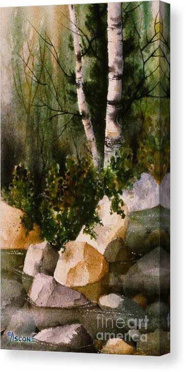 Two Birch By Rocky Stream Canvas Print featuring the painting Two Birch by Rocky Stream by Teresa Ascone