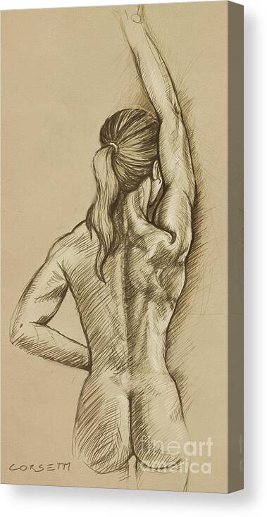 Woman Canvas Print featuring the drawing Woman Sketch by Robert Corsetti