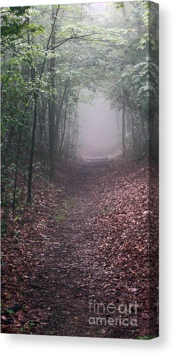 Shenandoah National Park Canvas Print featuring the photograph Out of the Fog by Scott Heister