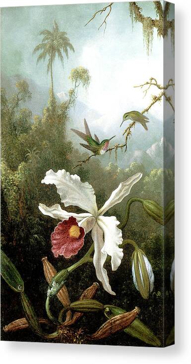 Masters Canvas Print featuring the painting Retouched Masters - Orchid and Hummingbirds in tropical forest by Audrey Jeanne Roberts