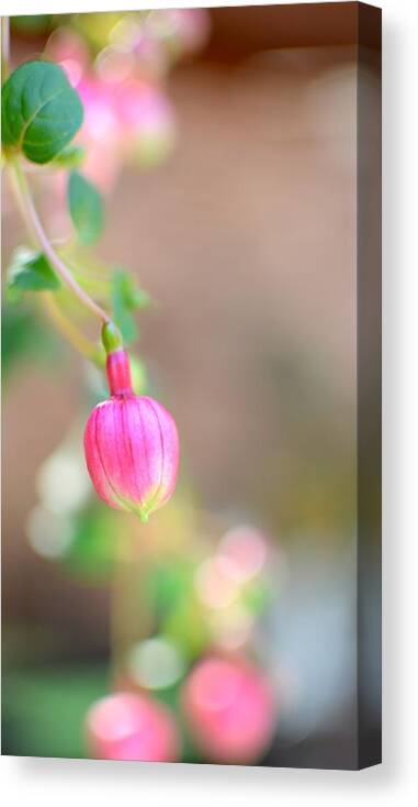 Flower Canvas Print featuring the photograph Spring comes to South Carolina by Corinne Rhode